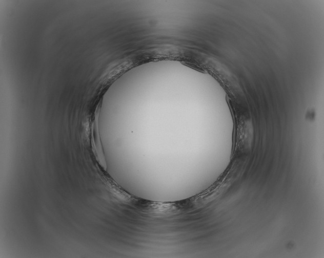 X0000097750333200803281616