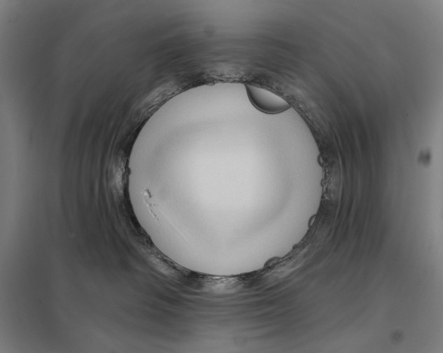 X0000097750334200803281616