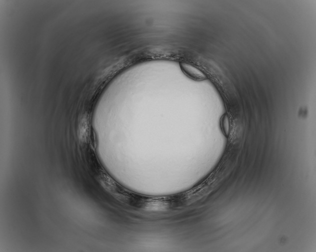 X0000097750335200803281616