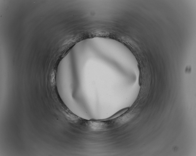 X0000097750336200803281616