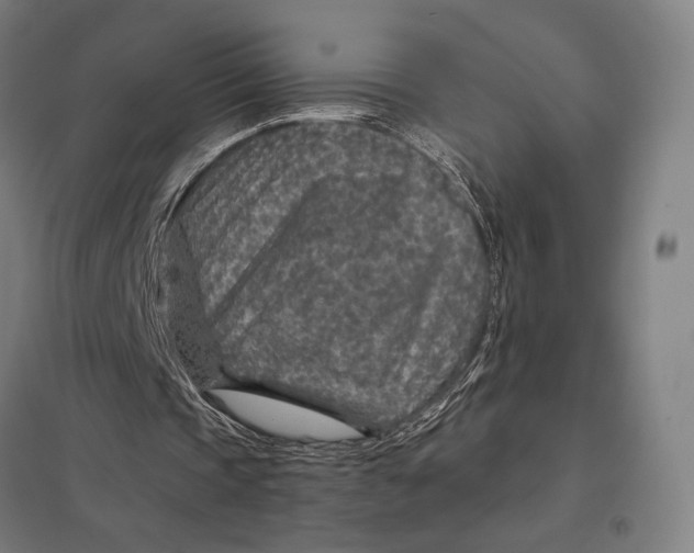 X0000097750337200803281615