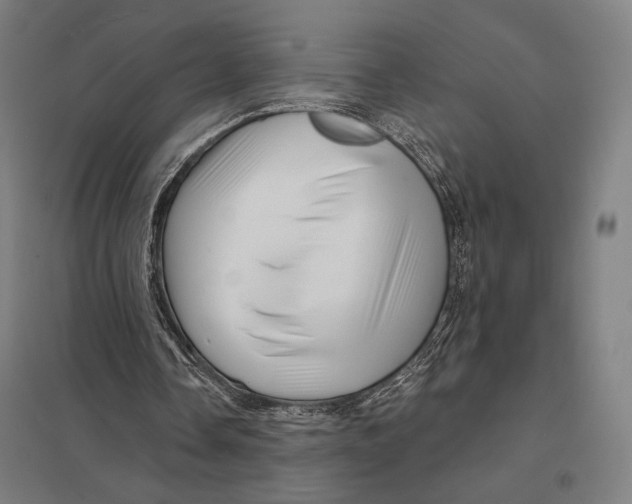 X0000097750338200803281615