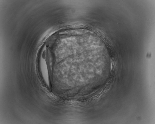 X0000097750339200803281615