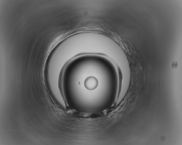 X0000097750340200803281615