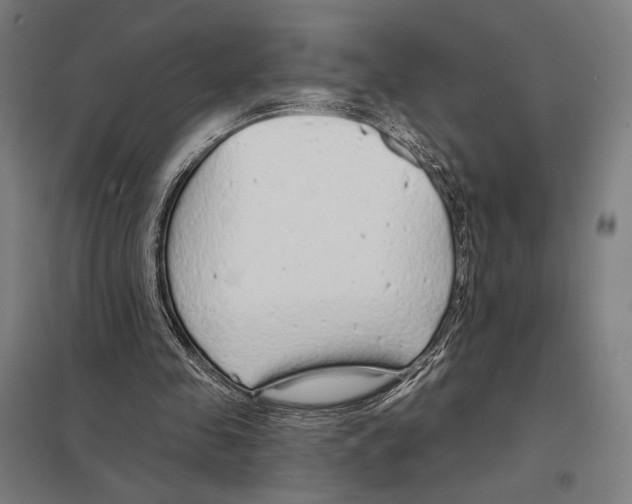 X0000097750341200803281615