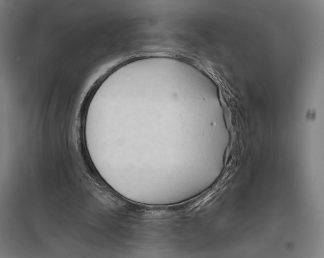 X0000097750342200803281615