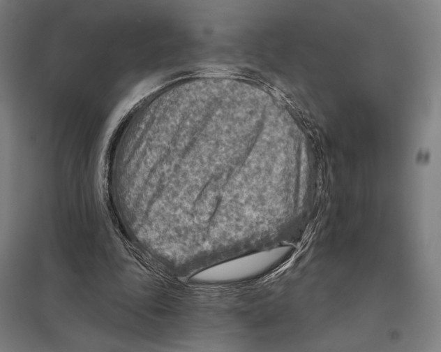 X0000097750343200803281615