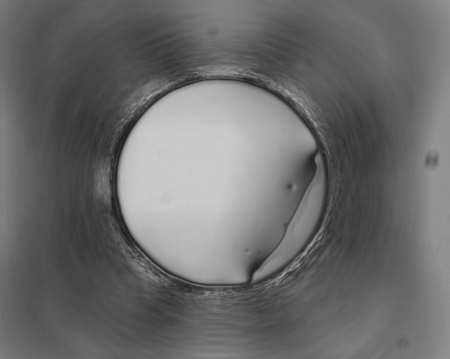 X0000097750345200803281615