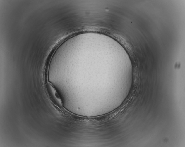 X0000097750346200803281615