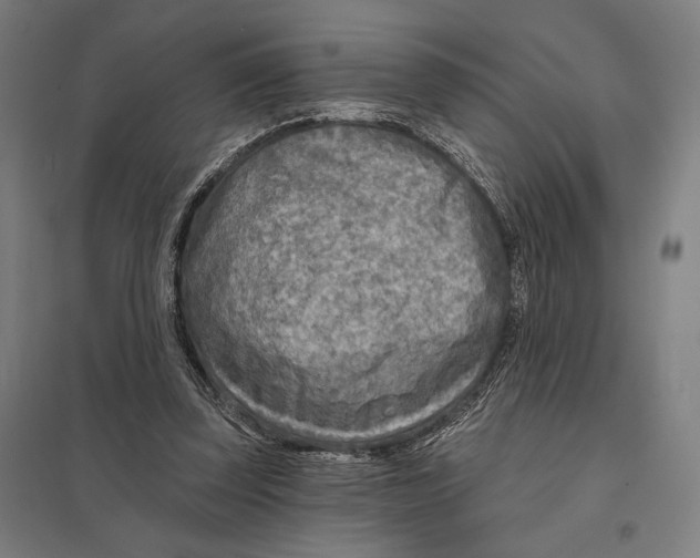 X0000097750347200803281615