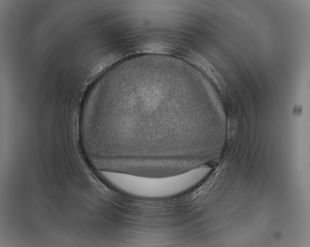 X0000097750349200803281615