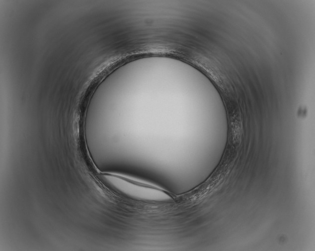 X0000097750350200803281615