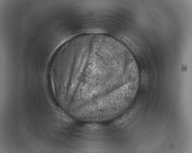 X0000097750351200803281615