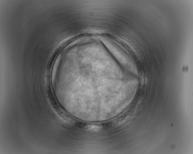 X0000097750352200803281615