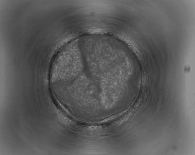 X0000097750353200803281615