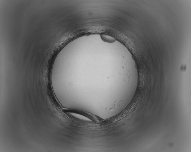 X0000097750354200803281615