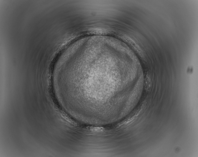 X0000097750355200803281615