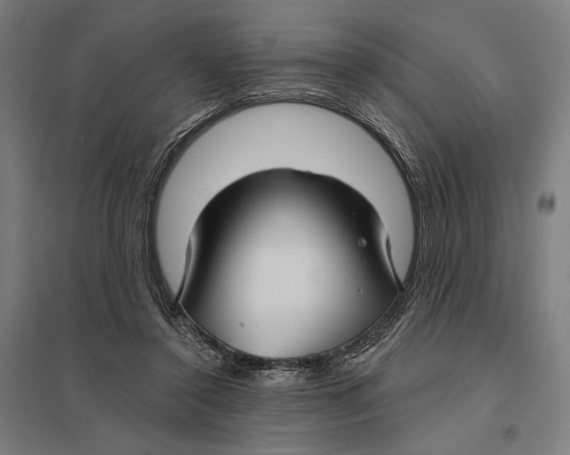 X0000097750356200803281615