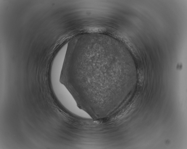 X0000097750357200803281615