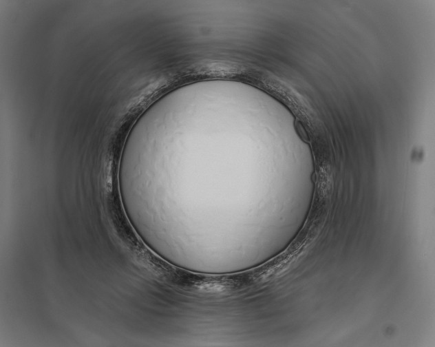 X0000097750358200803281615