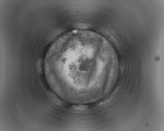 X0000097750359200803281615