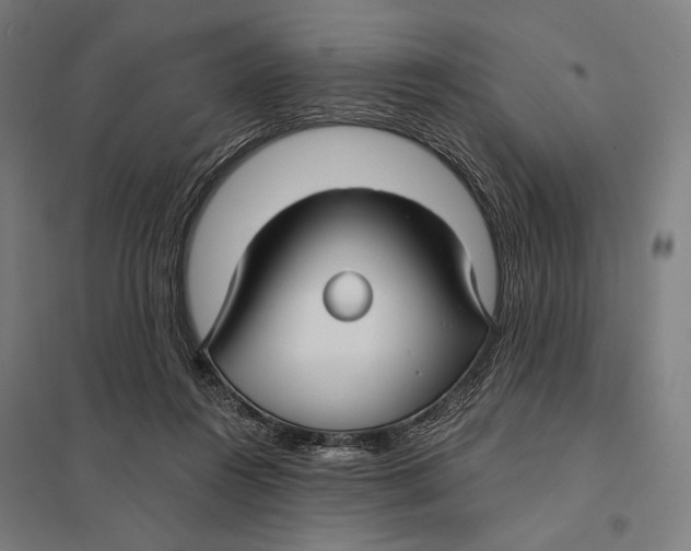 X0000097750360200803281615