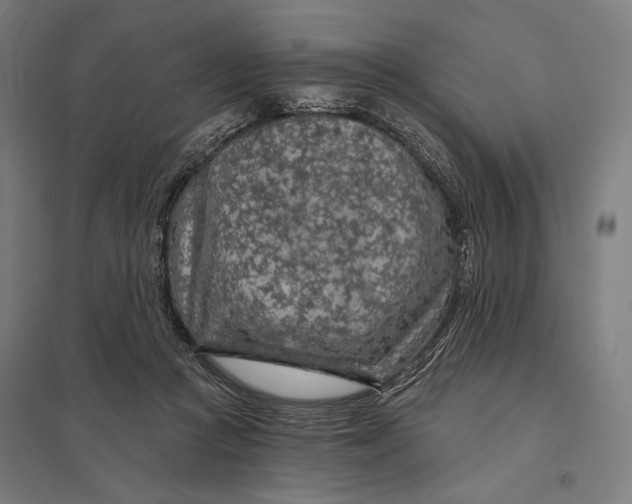 X0000097750361200803281615