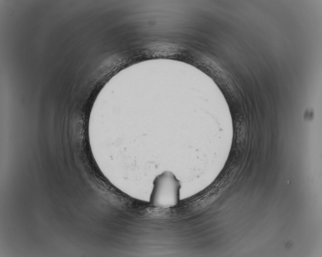 X0000097750362200803281616