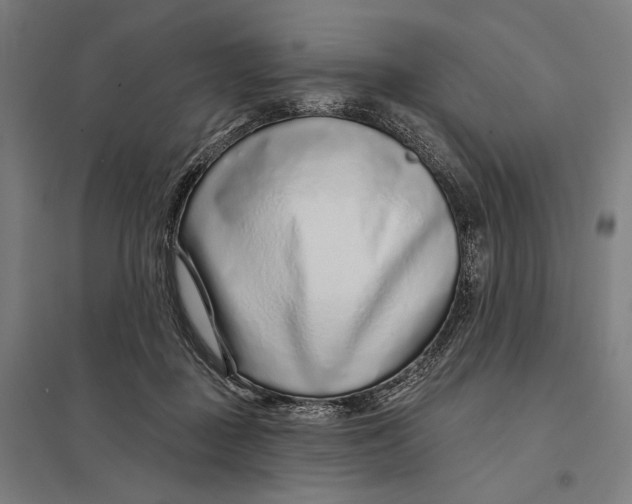 X0000097750363200803281616