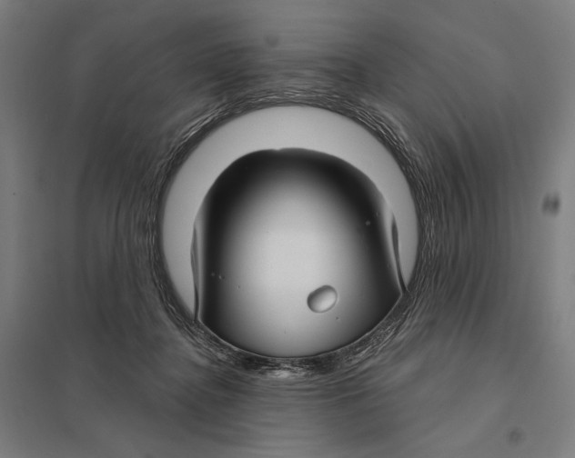 X0000097750364200803281616