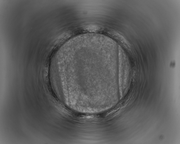 X0000097750365200803281616