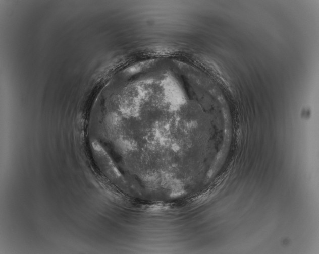 X0000097750366200803281616