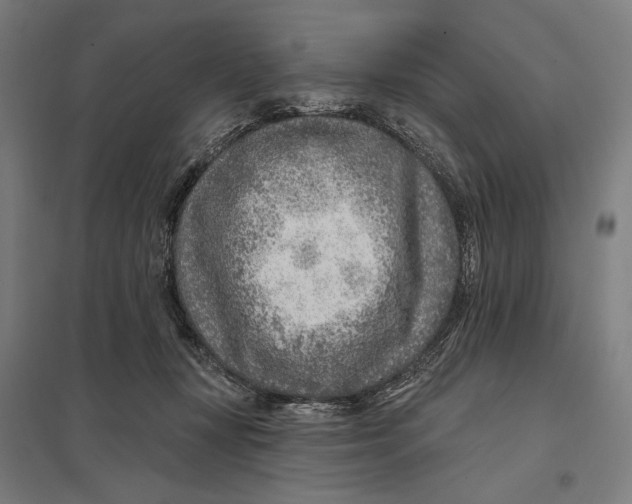 X0000097750367200803281616