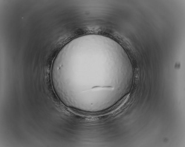 X0000097750369200803281616