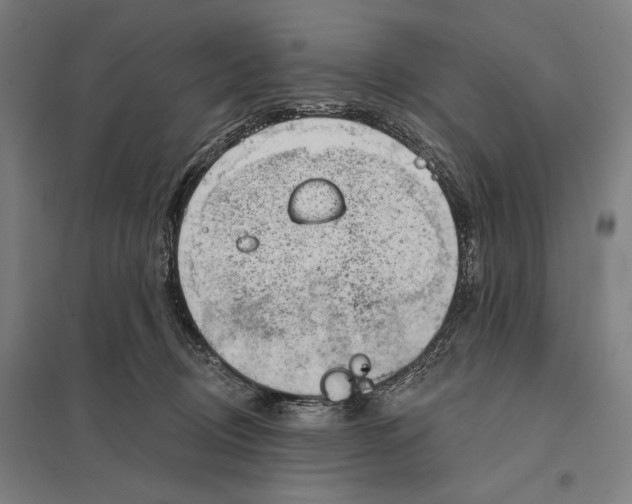 X0000097750370200803281616