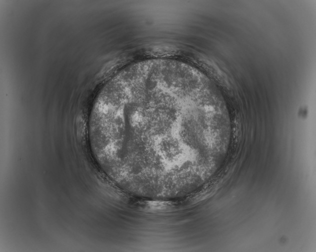 X0000097750371200803281616