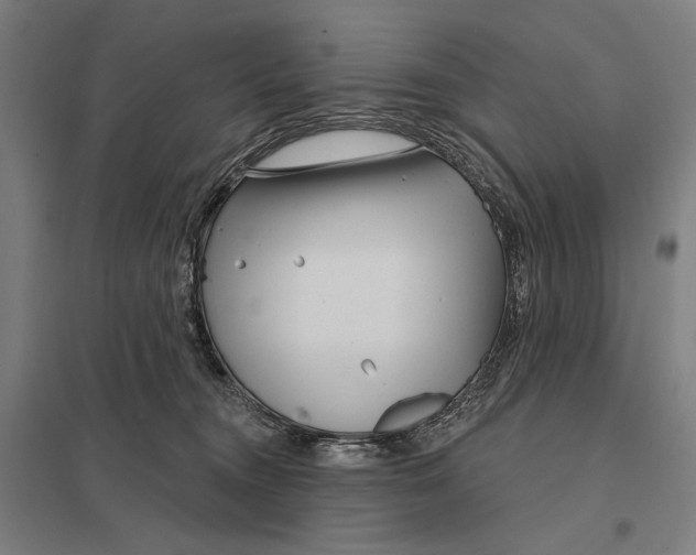 X0000097750372200803281616