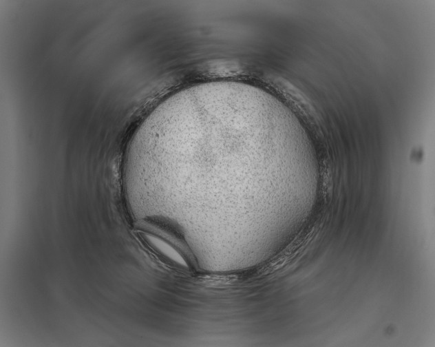 X0000097750373200803281616