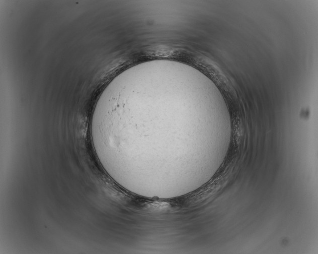 X0000097750374200803281616