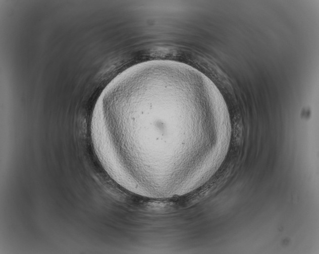 X0000097750375200803281616