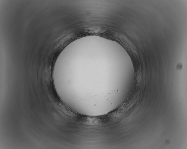 X0000097750376200803281616