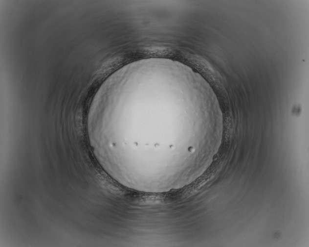 X0000097750377200803281616