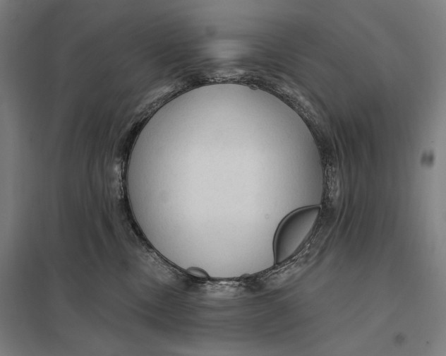 X0000097750378200803281616