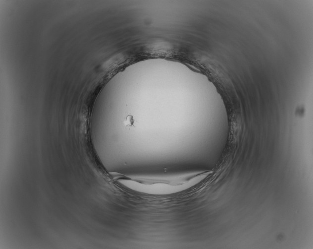 X0000097750379200803281616