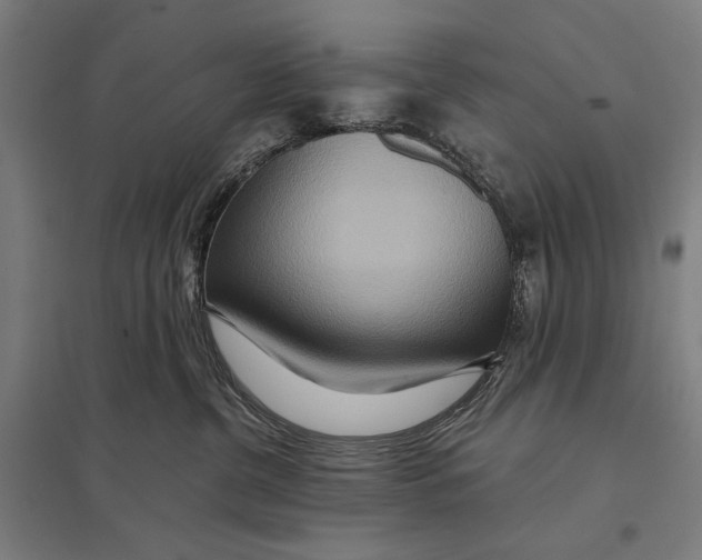 X0000097750380200803281616