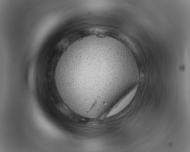 X0000097750381200803281616