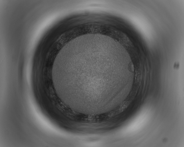 X0000097750383200803281616