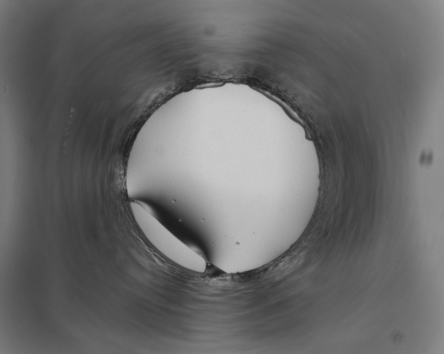 X0000097750384200803281616