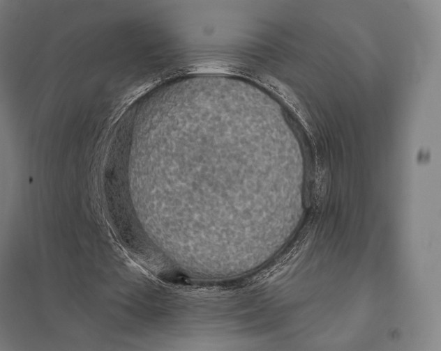 X0000097750385200803281615