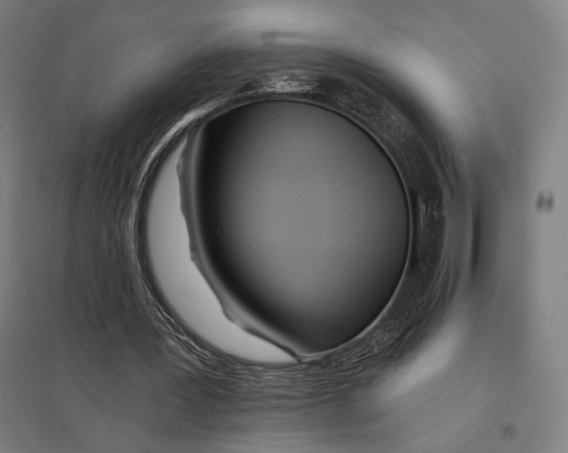 X0000097750387200803281615